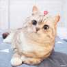 Giun đất Giun đất