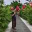 Candra Heriawan