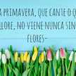 Andrea Bas