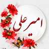 امیر علی