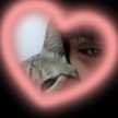 Sele Ovando