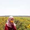 Rahmawati Ririn Ardila