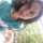 Miriam M