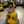 Tran Ngoc Dung Tran Ngoc Dung