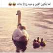 Oum elbanet Oum nour