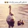 Oum elbanet Oum nour