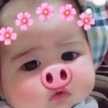 BoBo Lilpig