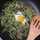 Kitchenik Kitchenik