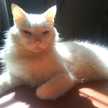 Eduardo
