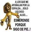 Cristian Brasuna