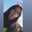 Victoria Fuentes