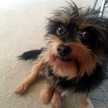 debie.loeblein