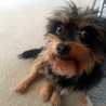 debie.loeblein