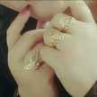 Amel Amoula officiel