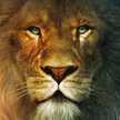 URANTIA