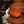 Sofaki1234 Sofaki1234