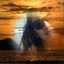 Gladys Cubillos