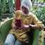Elvia Rahayu