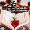 layaly 1