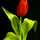 💓نیایش 💓 💓نیایش 💓