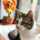Maitry_Vege Maitry_Vege