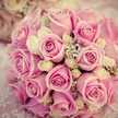 Farhanah Alk