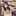 Nin1806 Nin1806