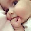 Om Zaid