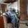 hesty suryaningtyas hesty suryaningtyas