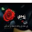 منال موسى