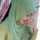 tietha oneng tietha oneng