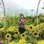 Syifa S