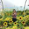 Syifa S