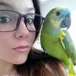 Yoli