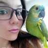 Yoli