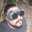 Carlos Sam Rec