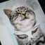 Chatpatisse