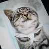 Chatpatisse Chatpatisse