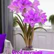 Chhavi 