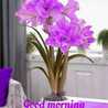 Chhavi 
