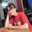 Thanh Thao Pham Thanh Thao Pham