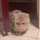 Lif-