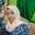 Syarifah