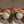 Adinda Salsyabillah