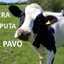 Paqui Muñoz