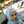 ratih77