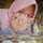fazila_nisa fazila_nisa