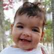 Elaine samper segui