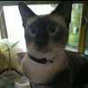 Wulan Isma