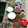 Winarni Tri